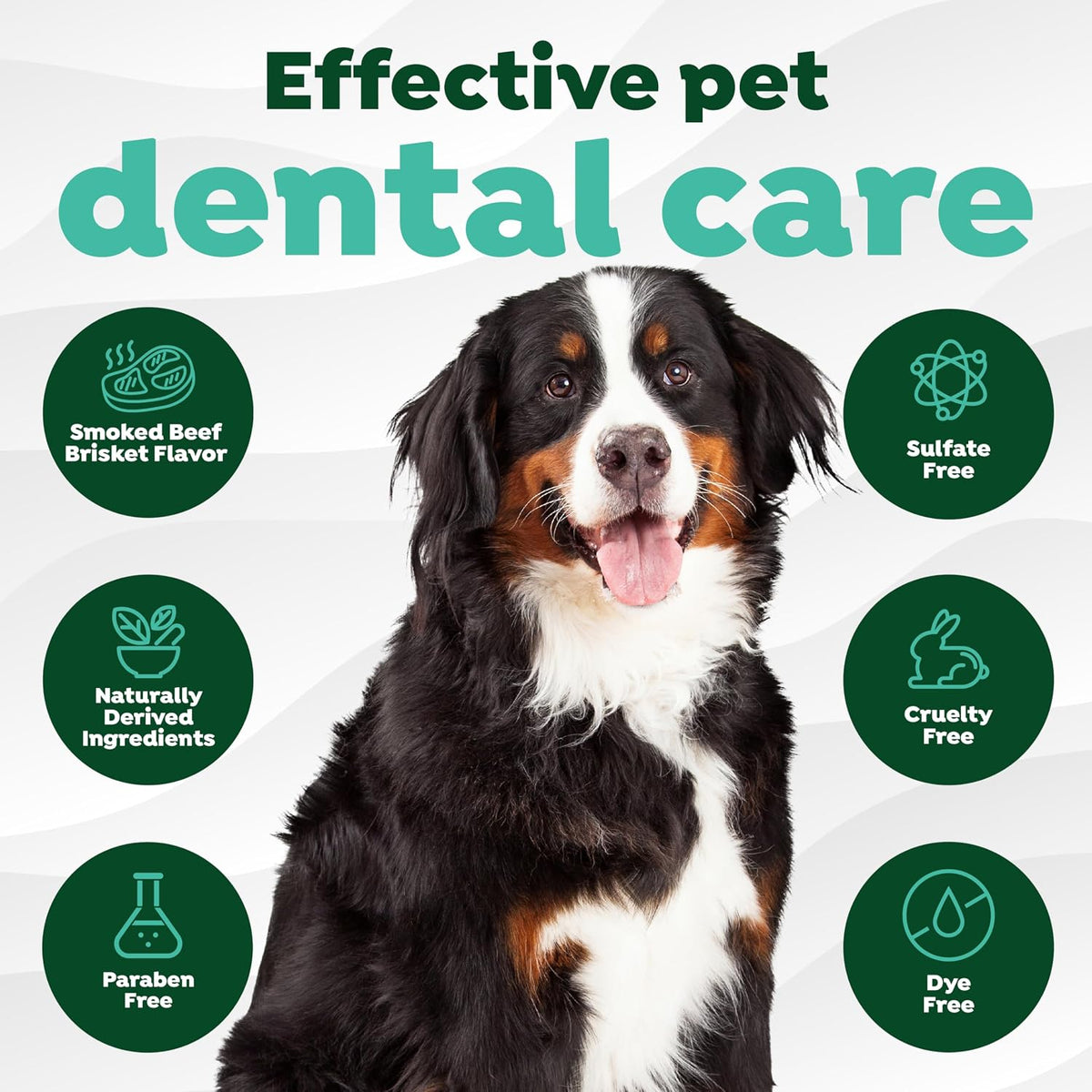 Fresh Breath Dog Tooth Brushing Kit, Peanut Butter Flavor | dog toothpaste