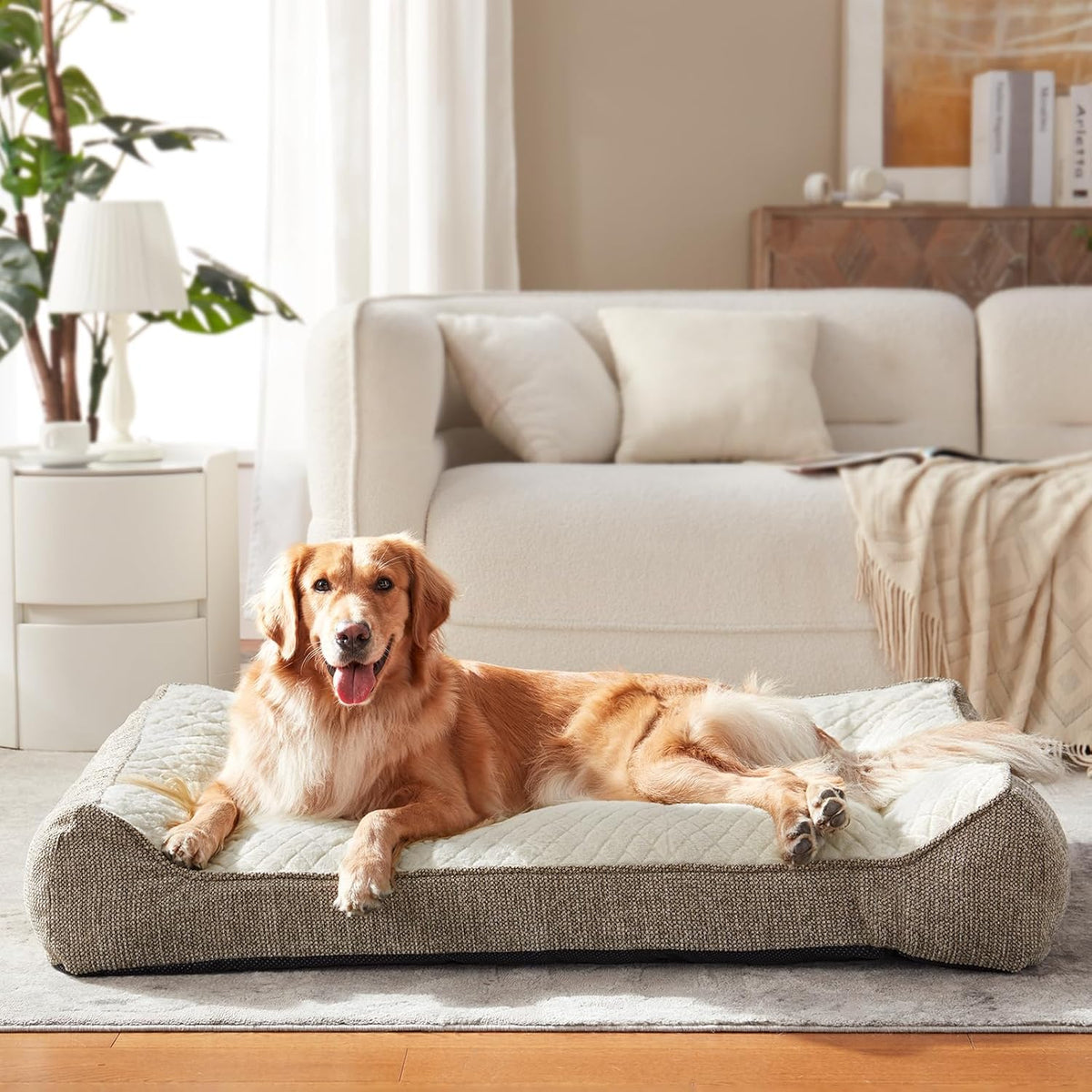 XL Orthopedic Dog Bed for Large Dogs, Extra Thick Foam Pet Bed Sofa