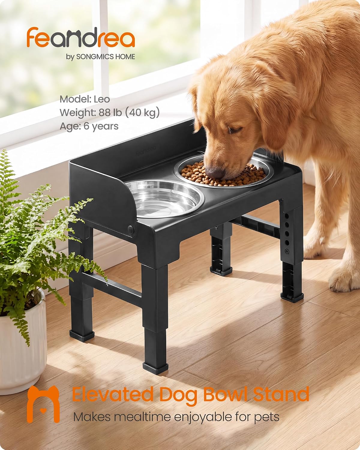 Feandrea Dog Bowls Elevated, Adjustable Height, Tilted Design