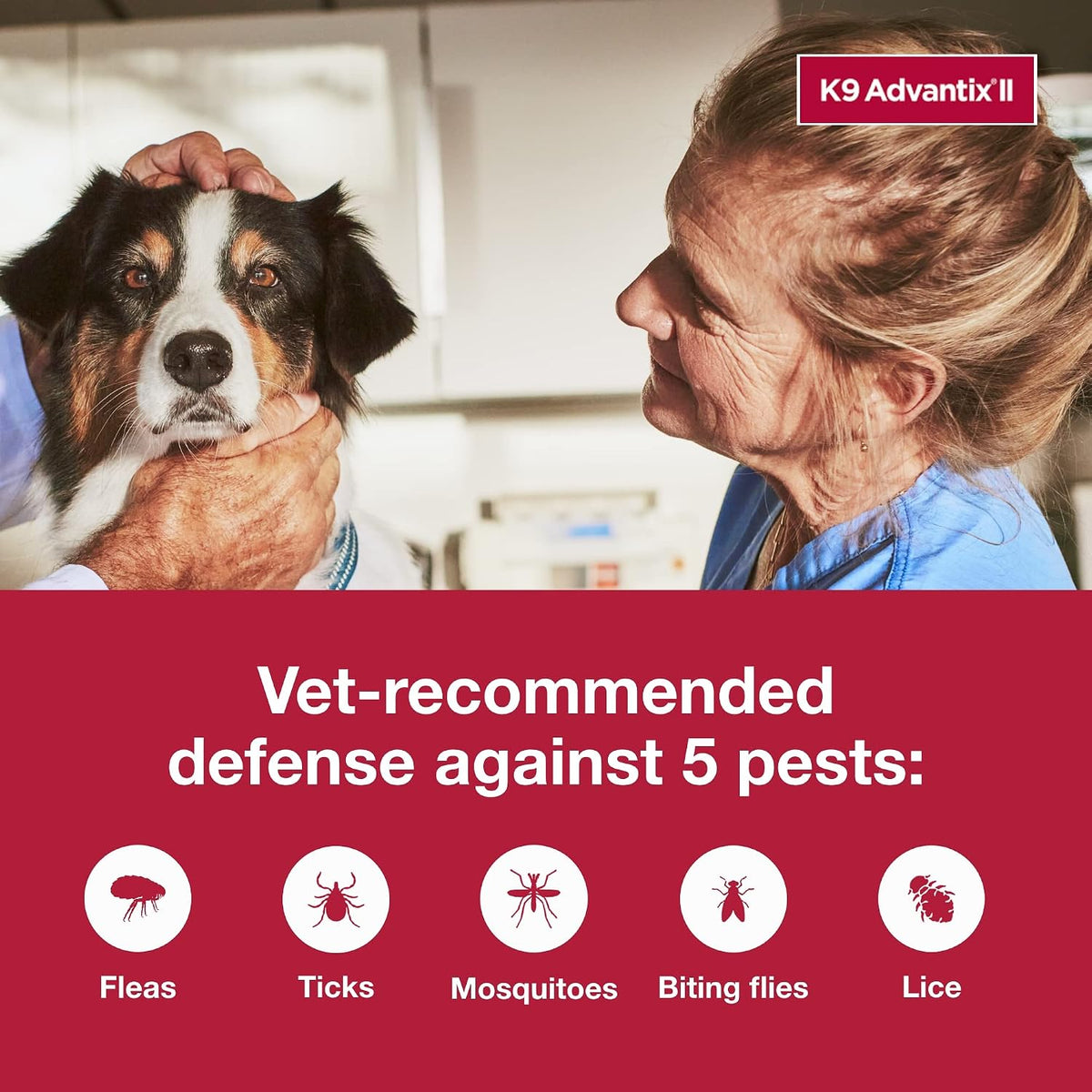 II Large Dog Vet-Recommended Flea, Tick & Mosquito Treatment & Prevention | Dogs 21-55 lbs. | 2-Mo Supply (Packaging may vary)