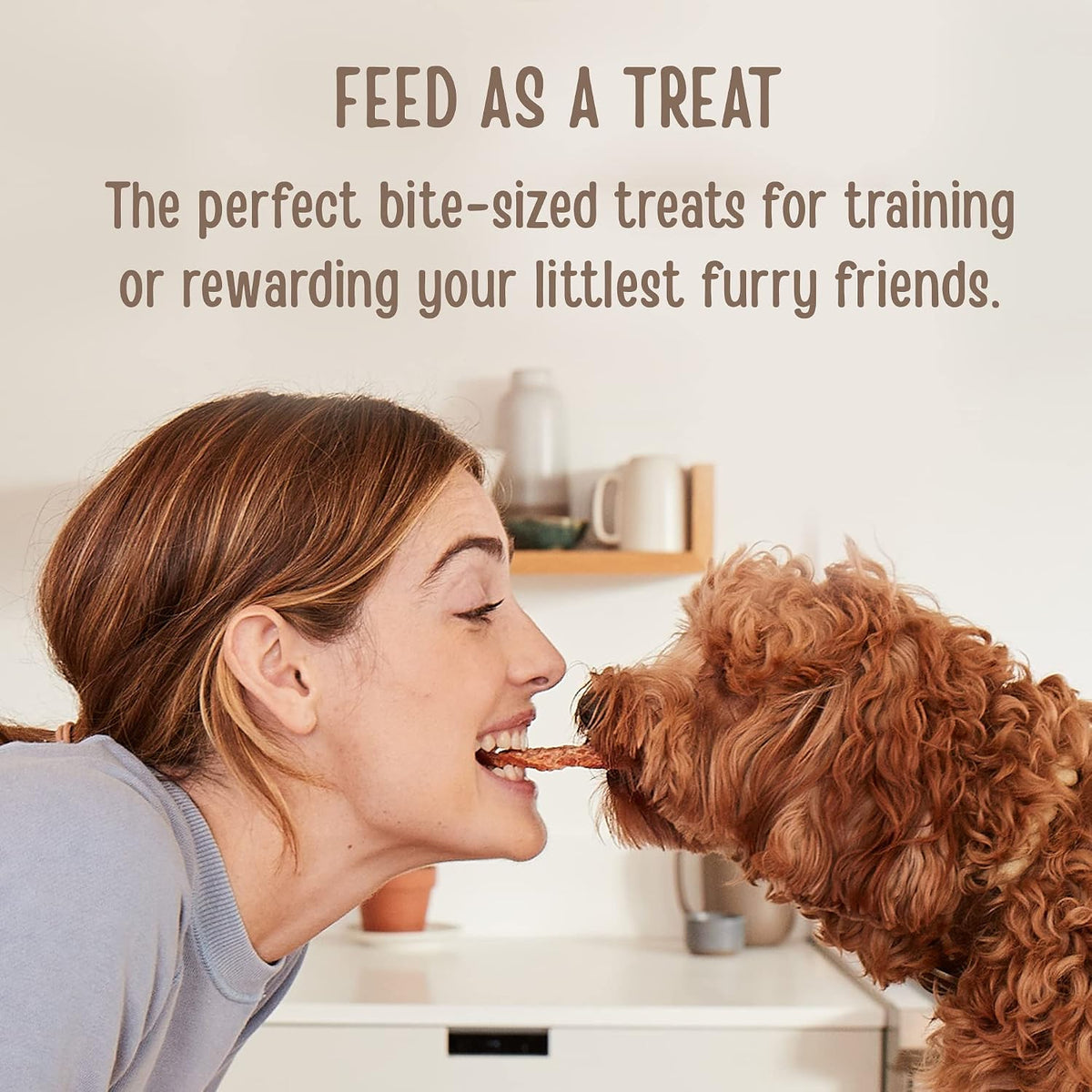 Full Moon® Essential Beef Savory Bites Dog Treats 14 oz