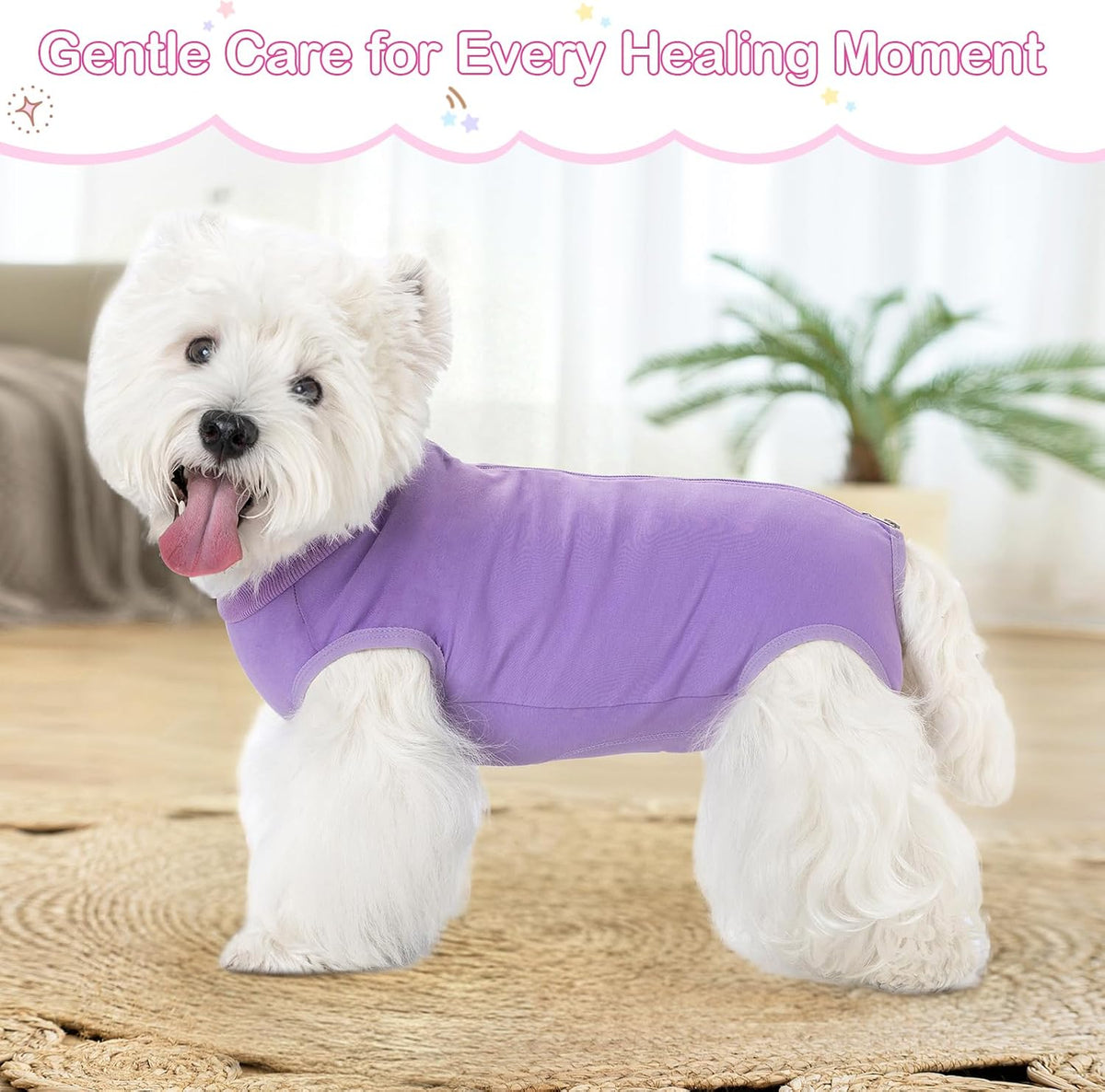 Dog Surgery Recovery Suit for Dogs After Surgery Female, Dog Onesie Neuter Puppy Spay Shirts, Post-Op Bodysuit Pajamas Anti Licking Abdominal Wounds Cone Alternative
