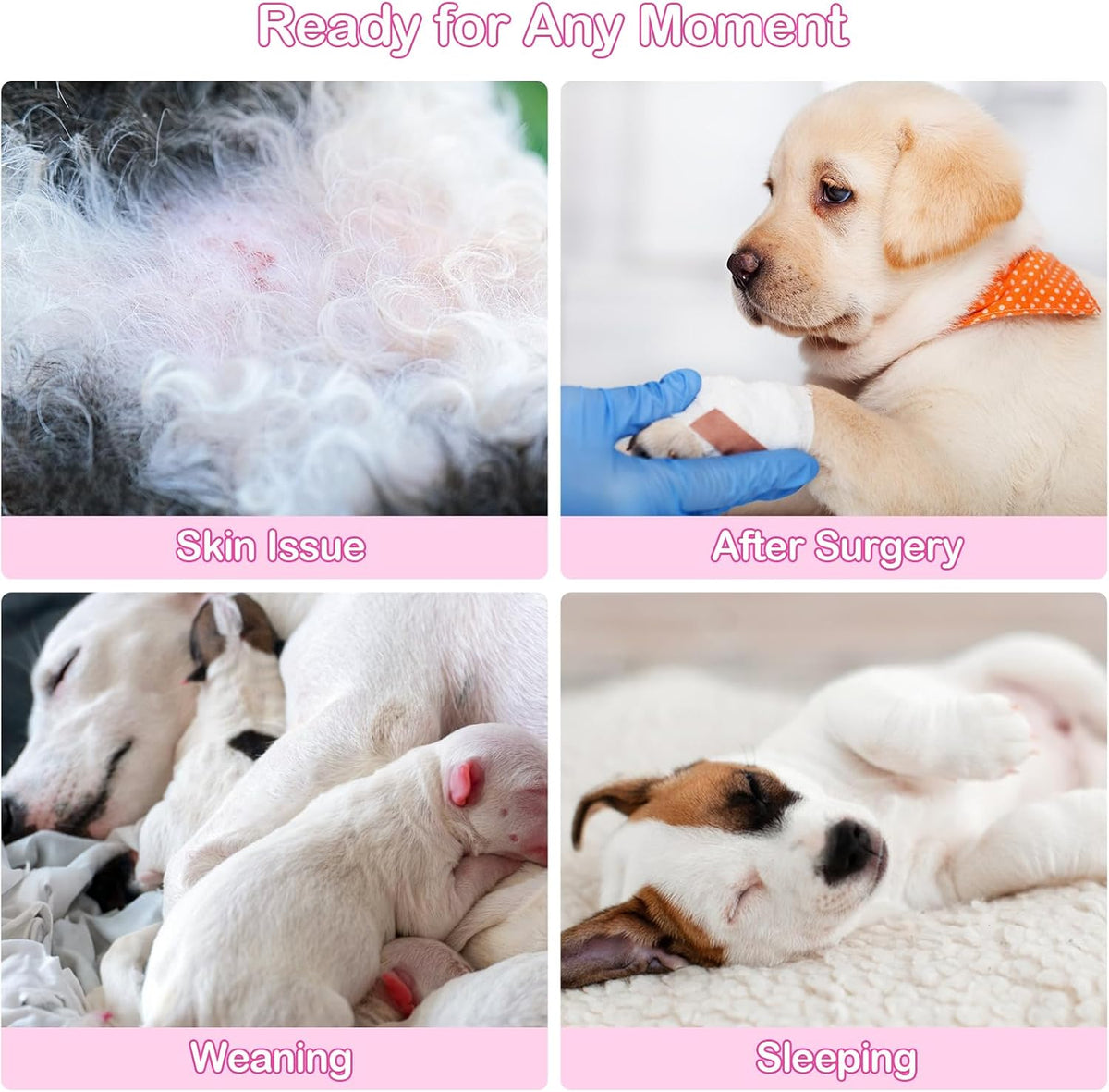 Dog Surgery Recovery Suit for Dogs After Surgery Female, Dog Onesie Neuter Puppy Spay Shirts, Post-Op Bodysuit Pajamas Anti Licking Abdominal Wounds Cone Alternative