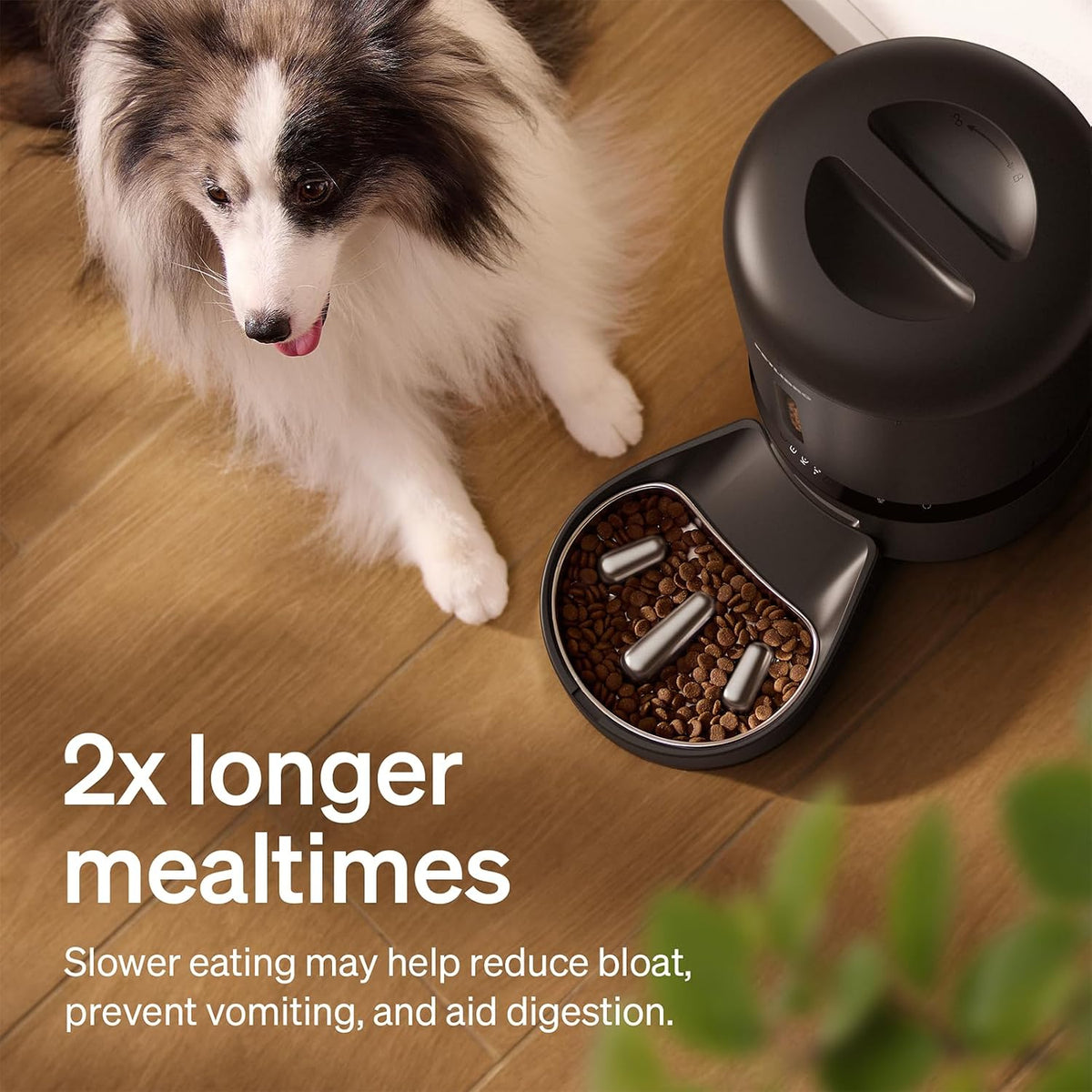Automatic Dog Feeder with Camera, Auto Cat Food Dispenser Slow Feeders Dogs Bowl, 1080P HD Video with Night Vision, 5G WiFi with 2-Way Audio, Stainless Steel Slow Food Tray for Small Dogs