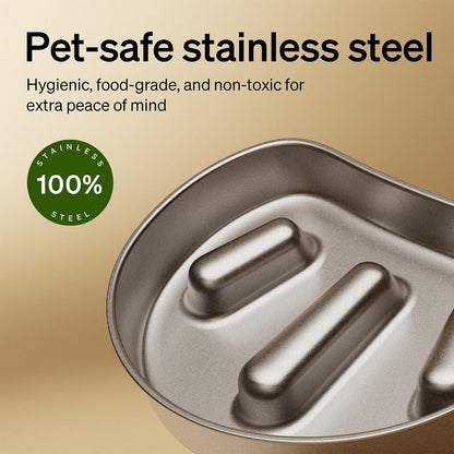 Automatic Dog Feeder with Camera, Auto Cat Food Dispenser Slow Feeders Dogs Bowl, 1080P HD Video with Night Vision, 5G WiFi with 2-Way Audio, Stainless Steel Slow Food Tray for Small Dogs