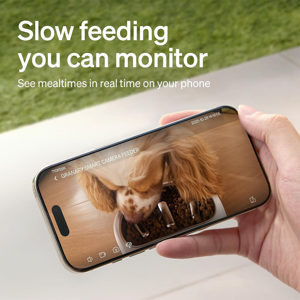 Automatic Dog Feeder with Camera, Auto Cat Food Dispenser Slow Feeders Dogs Bowl, 1080P HD Video with Night Vision, 5G WiFi with 2-Way Audio, Stainless Steel Slow Food Tray for Small Dogs
