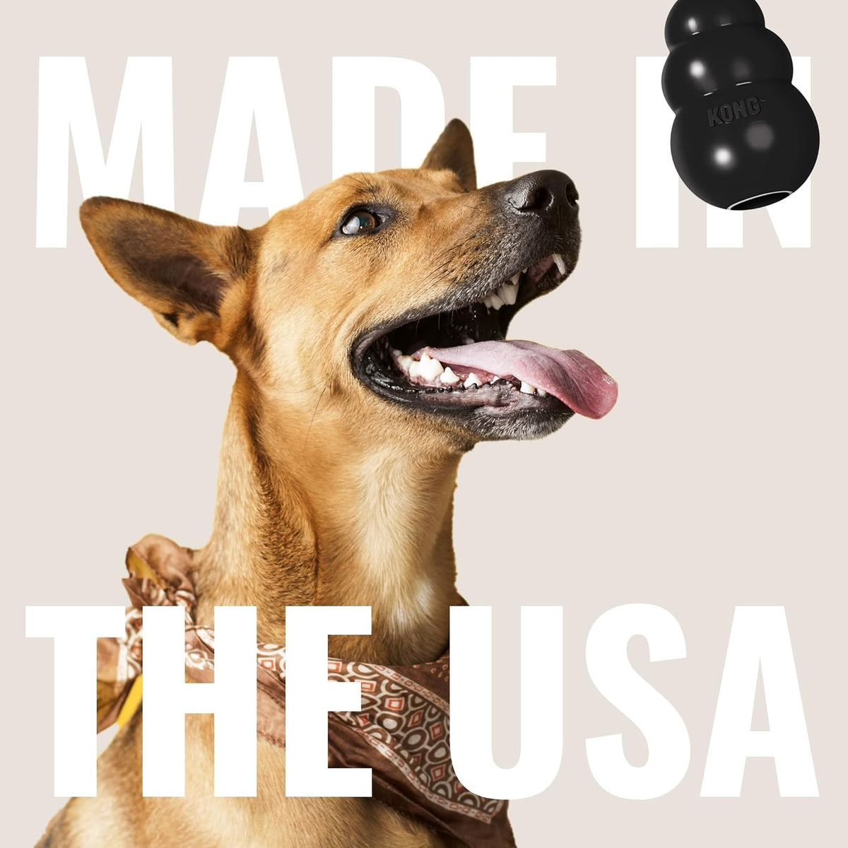 Extreme Dog Toy, Durable Natural Rubber Chew, for Large Dogs