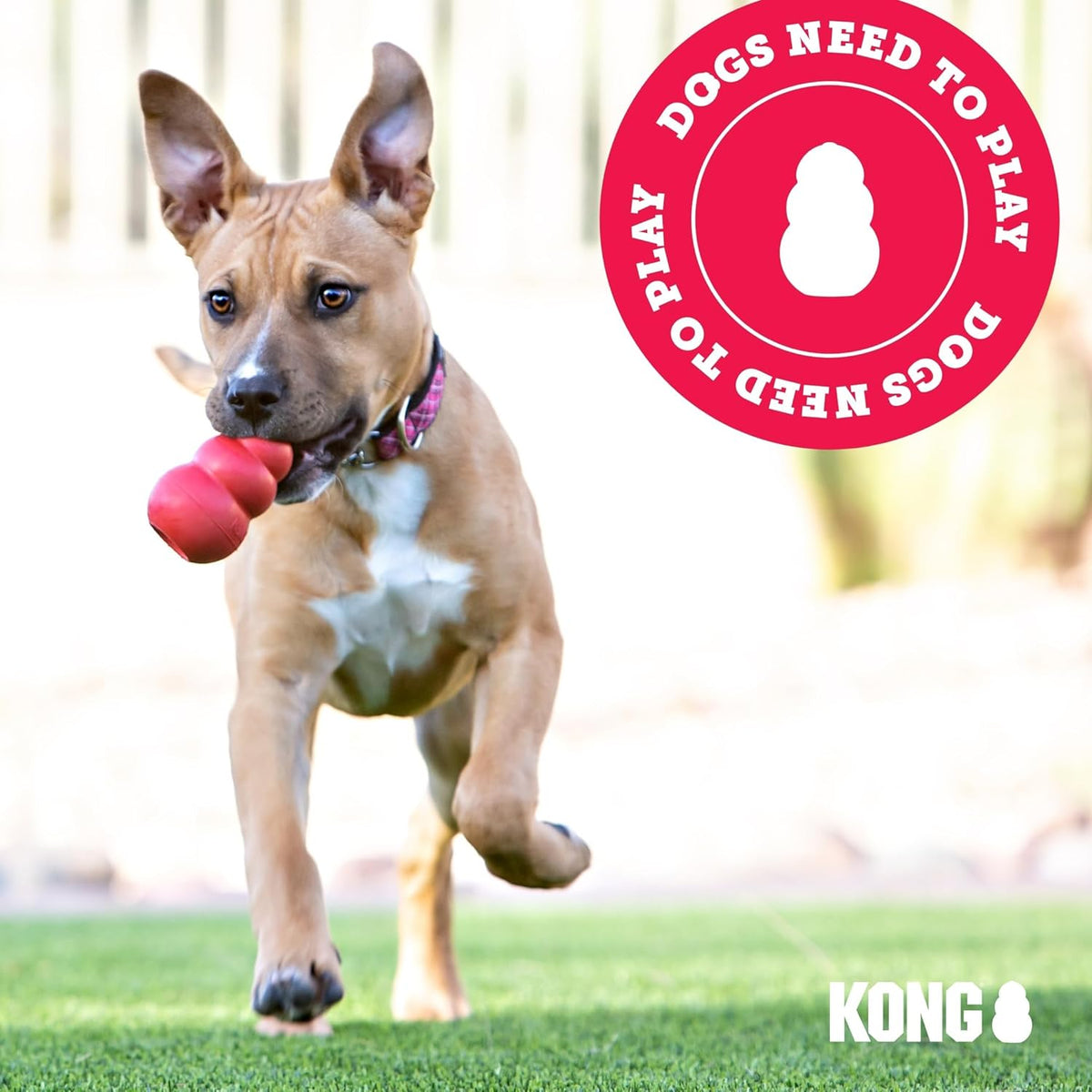 Extreme Dog Toy, Durable Natural Rubber Chew, for Large Dogs