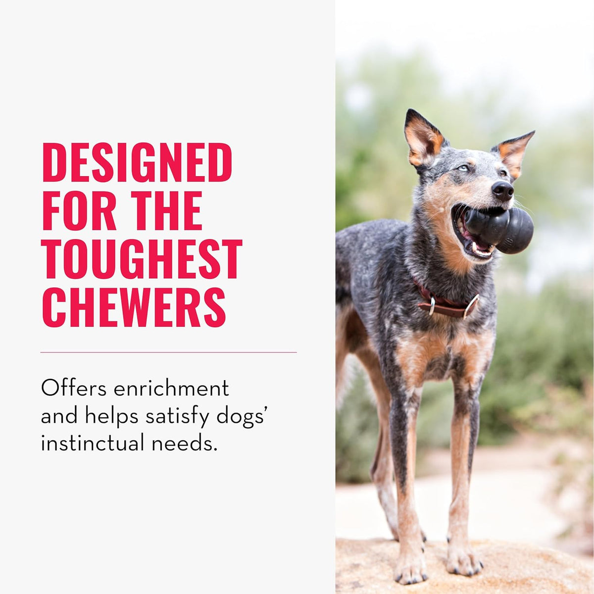 Extreme Dog Toy, Durable Natural Rubber Chew, for Large Dogs
