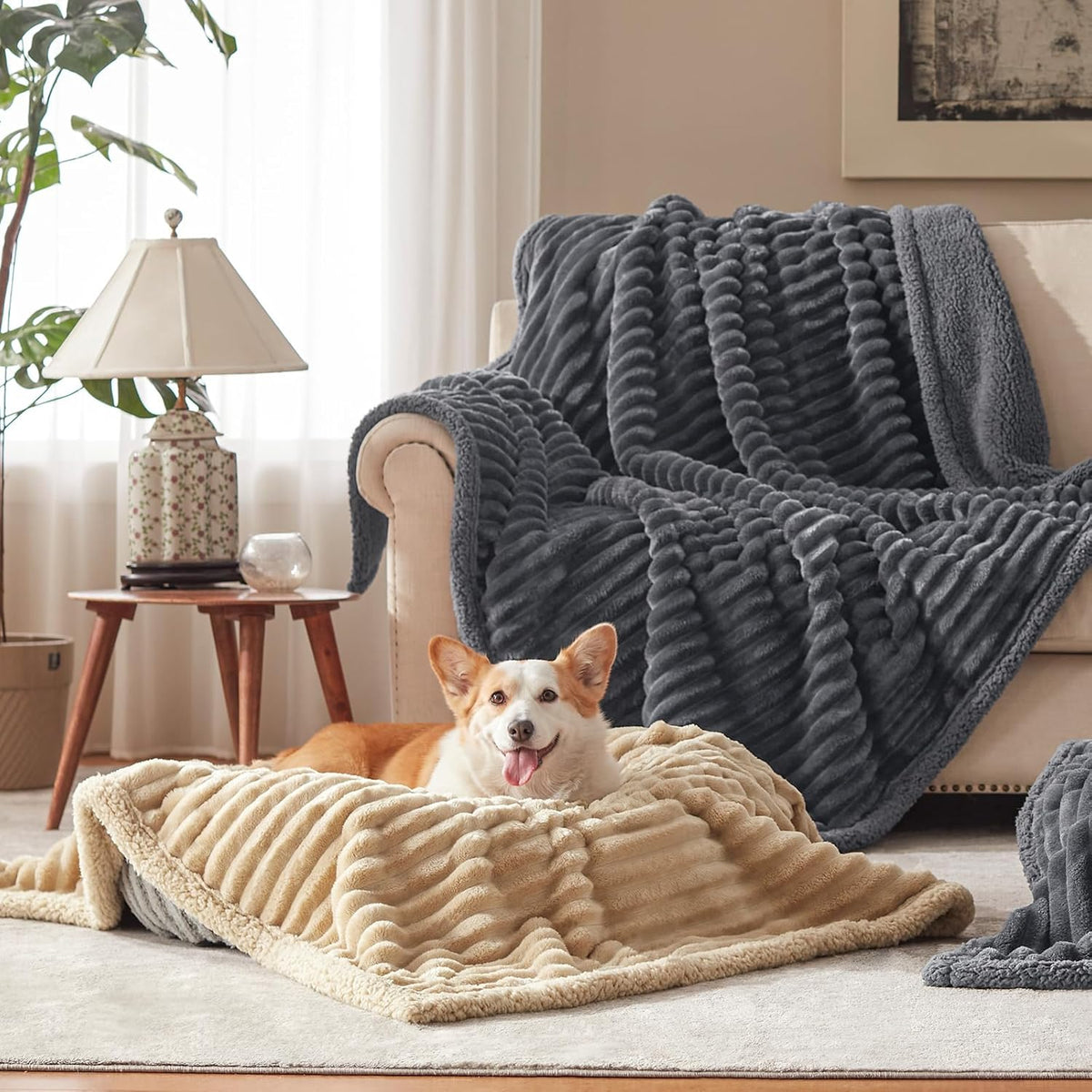 Waterproof Dog Blanket for Large Dogs, Washable Soft Puppy Cat Blanket Flannel Cotton Velour for Sofa Couch Protector, Comfort & Security Reversible Bed Protection for Pet, 50"X60", Gray