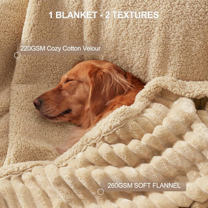 Waterproof Dog Blanket for Large Dogs, Washable Soft Puppy Cat Blanket Flannel Cotton Velour for Sofa Couch Protector, Comfort & Security Reversible Bed Protection for Pet, 50"X60", Gray