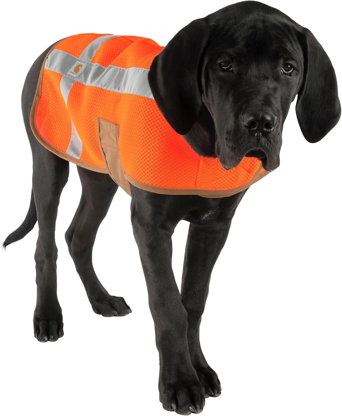 Mesh Safety Dog Vest, Hi-Visibility Lightweight Dog Vest