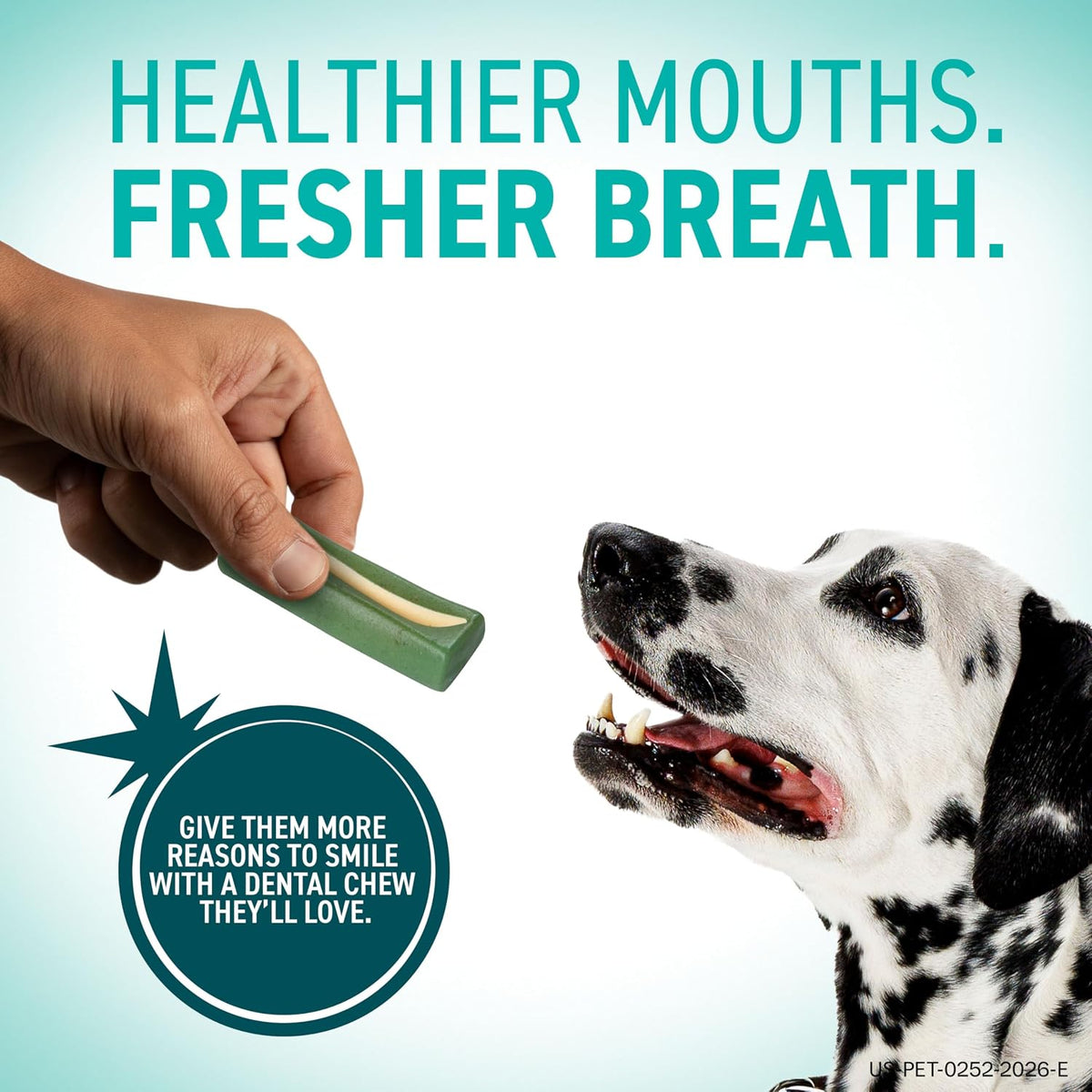 Dental Hygiene Chews for Dogs