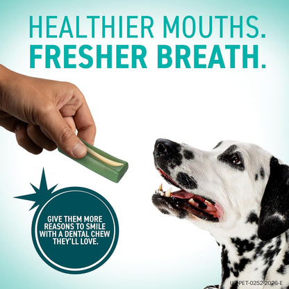 Dental Hygiene Chews for Dogs