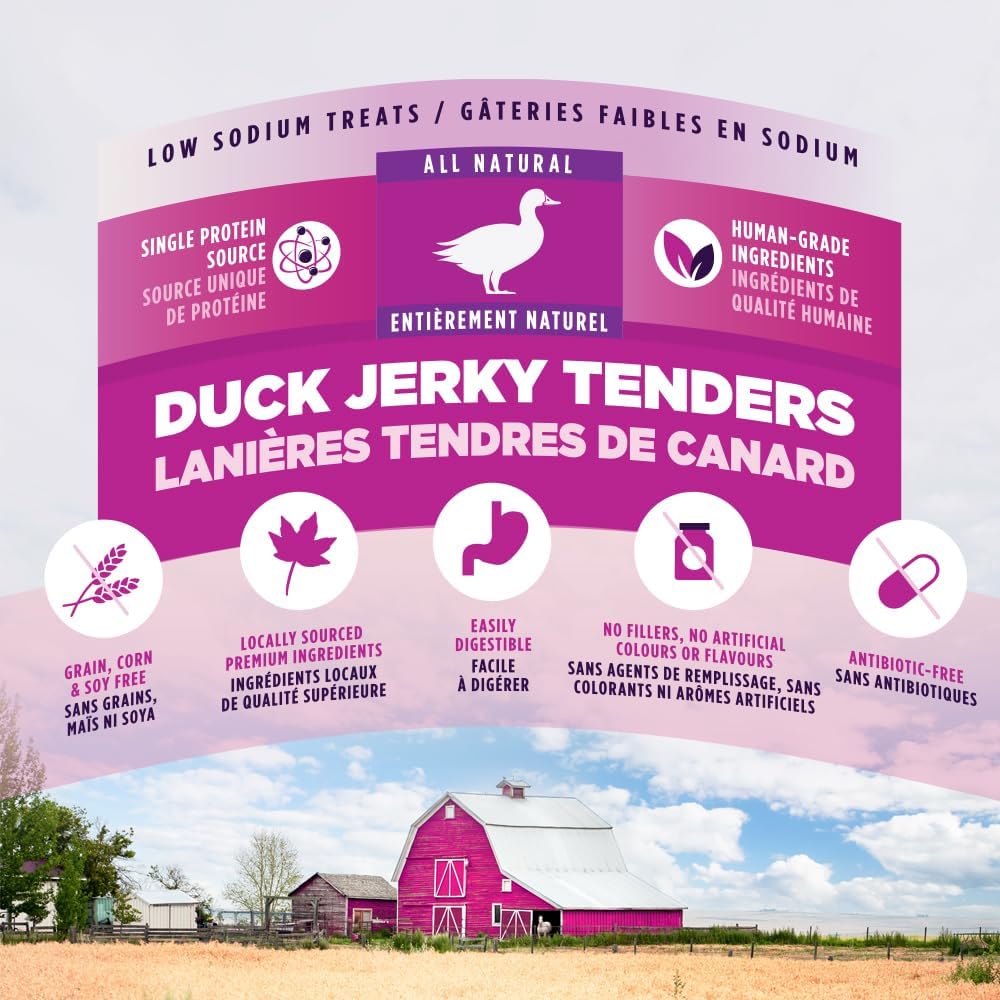 Natural Beef Jerky Tenders for Dogs, 100% Real Canadian Beef, High Protein 24%, Soft Training Treats, Air-Dried, Grain Free, Made in Canada, 10oz
