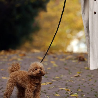Leather Dog Leash 6 ft x 1/4 inch,Thin and Lightweight Leather Leashes for Small Dogs,Leather Cat Leashes for Small Cats,Soft Genuine Leather Dog Training Leashes for Petite Dogs Brown