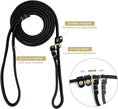 Leather Dog Leash 6 ft x 1/4 inch,Thin and Lightweight Leather Leashes for Small Dogs,Leather Cat Leashes for Small Cats,Soft Genuine Leather Dog Training Leashes for Petite Dogs Brown