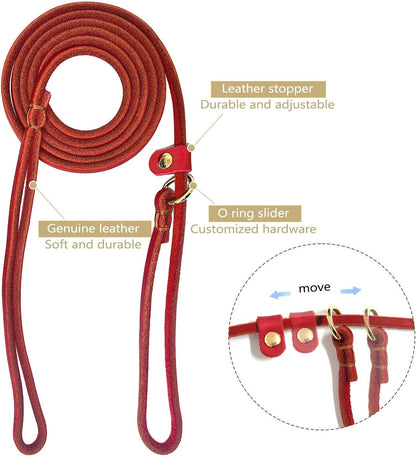 Leather Dog Leash 6 ft x 1/4 inch,Thin and Lightweight Leather Leashes for Small Dogs,Leather Cat Leashes for Small Cats,Soft Genuine Leather Dog Training Leashes for Petite Dogs Brown