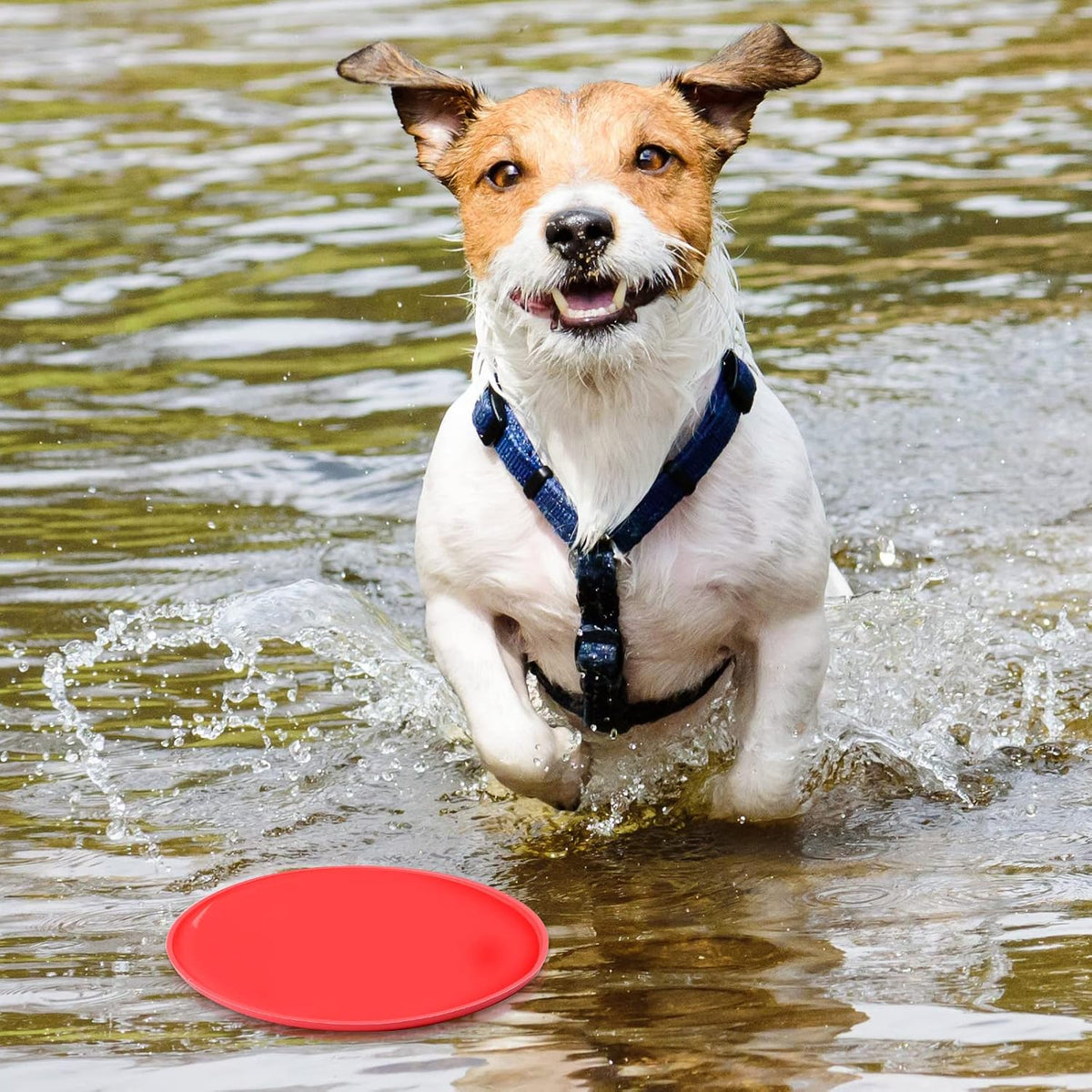 15 Pack Dog Flying Disc, Soft Silicone Puppy Flyer Toy, Small Medium