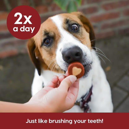 Protection+ Brushless Toothpaste Chews - Mini Breeds (32 ct)