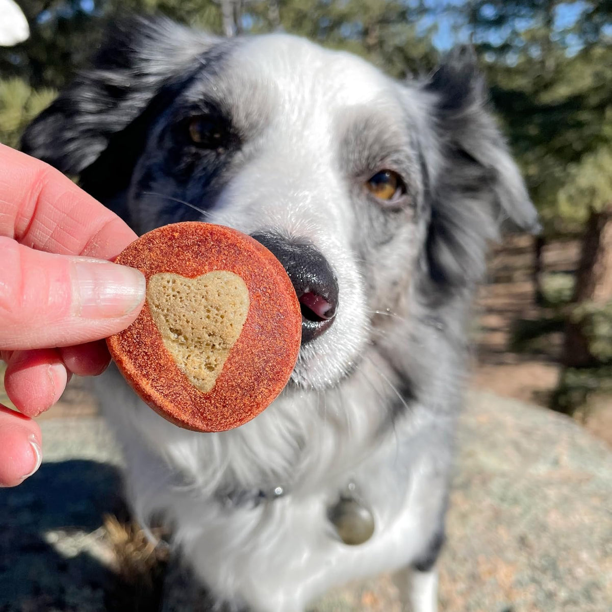 Protection+ Brushless Toothpaste Chews - Mini Breeds (32 ct)