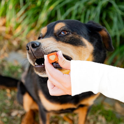 Protection+ Brushless Toothpaste Chews - Mini Breeds (32 ct)