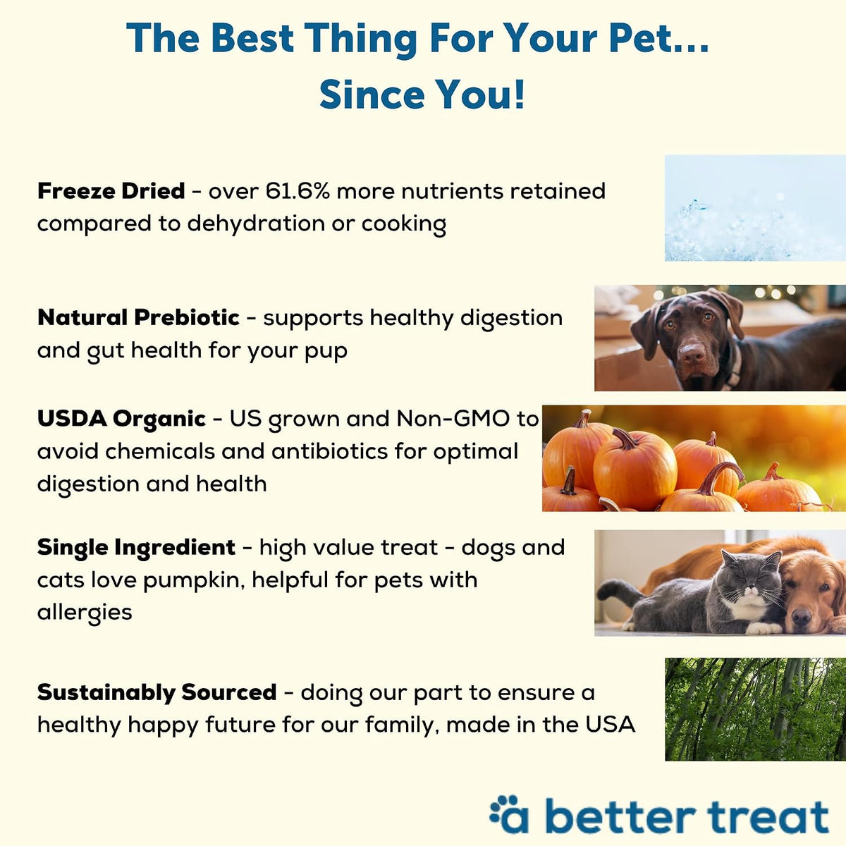 – Freeze Dried Organic Pumpkin Dog and Cat Treats, Organic, Single Ingredient | Natural, Healthy, Diabetic Friendly | Made in The USA