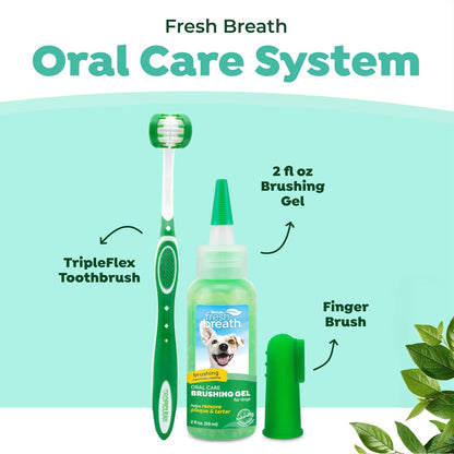 Fresh Breath Toothbrush and Toothpaste Kit for Puppies, Teeth Cleaning Kit to Prevent Plaque & Tartar, Breath Freshener, Dog Dental Care