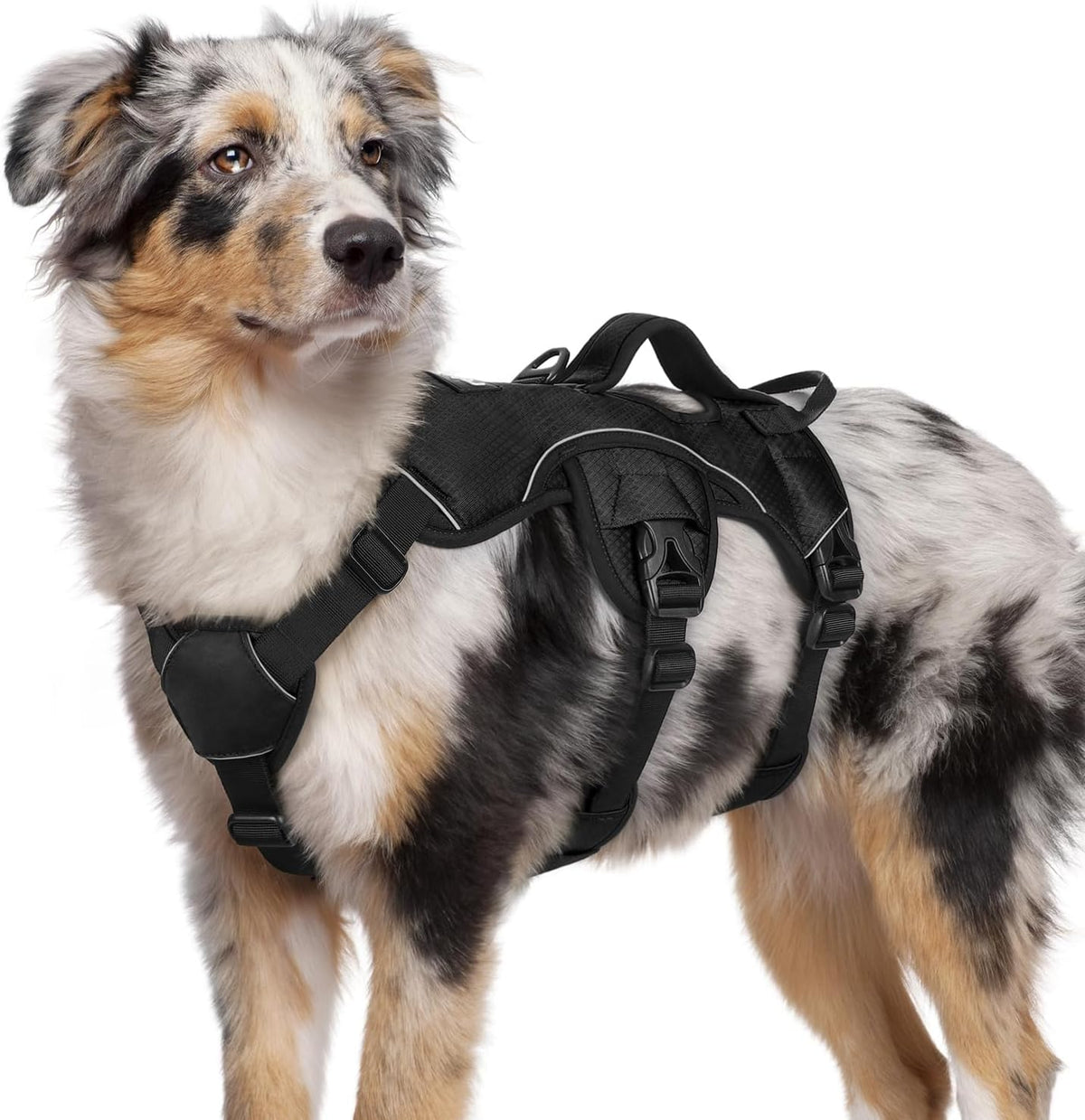 Escape Proof Dog Harness for Large, No Pull with Lift Handle | No Escape, Full Soft Padded, Reflective Adjustable Vest, Leash Clip for Walking Hiking Training, Black, Large