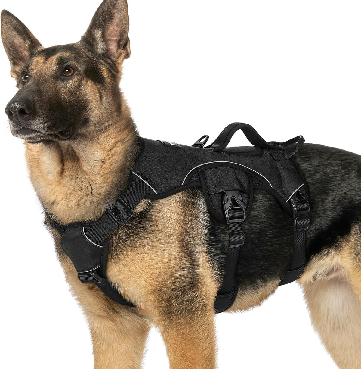 Escape Proof Dog Harness for Large, No Pull with Lift Handle | No Escape, Full Soft Padded, Reflective Adjustable Vest, Leash Clip for Walking Hiking Training, Black, Large