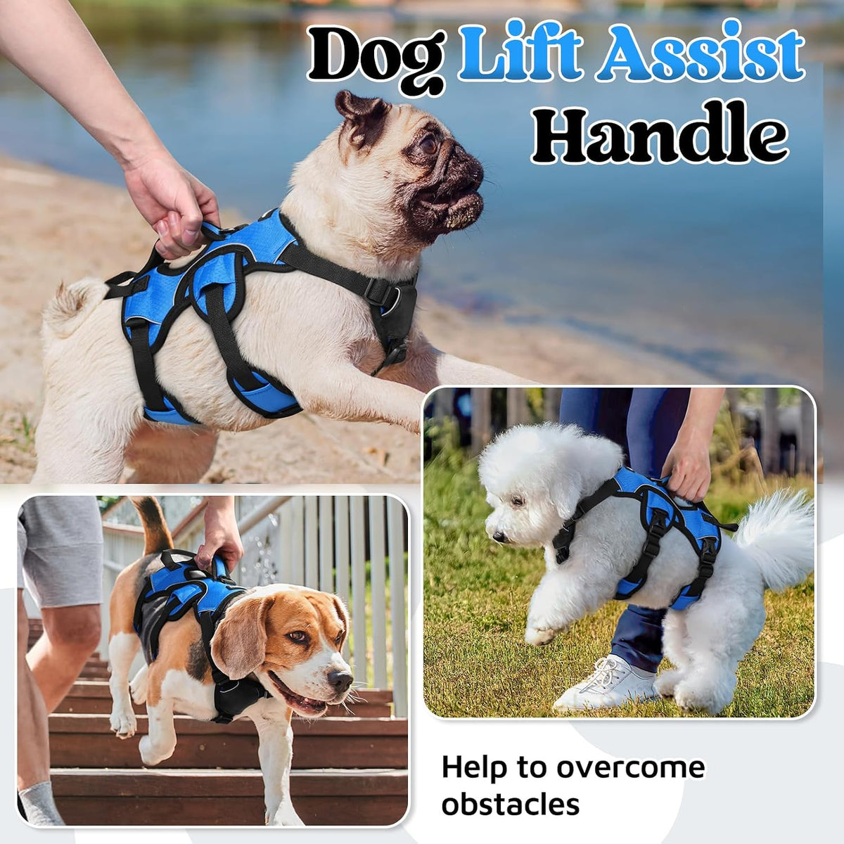 Escape Proof Dog Harness for Large, No Pull with Lift Handle | No Escape, Full Soft Padded, Reflective Adjustable Vest, Leash Clip for Walking Hiking Training, Black, Large
