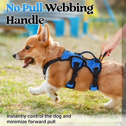 Escape Proof Dog Harness for Large, No Pull with Lift Handle | No Escape, Full Soft Padded, Reflective Adjustable Vest, Leash Clip for Walking Hiking Training, Black, Large