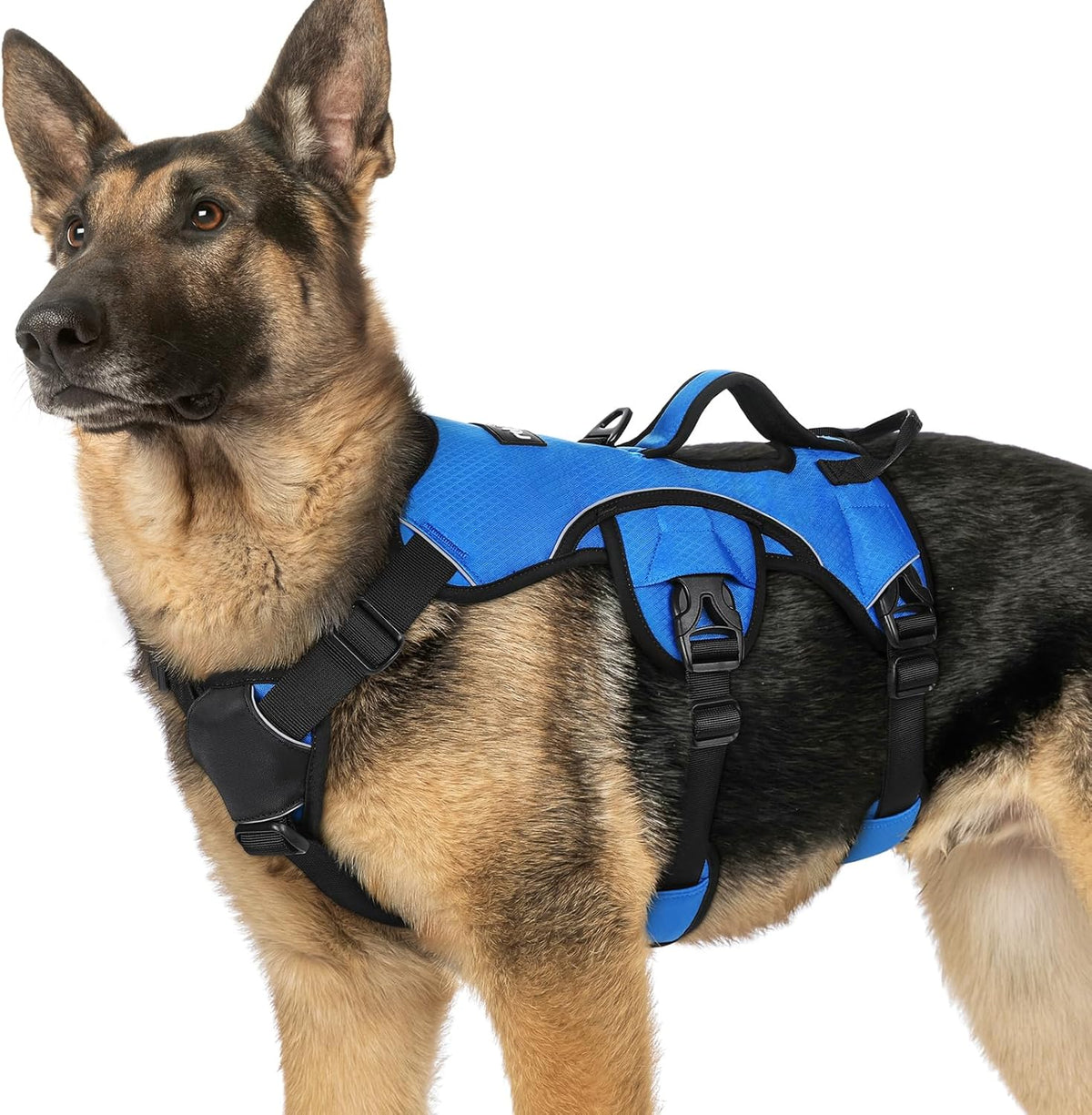 Escape Proof Dog Harness for Large, No Pull with Lift Handle | No Escape, Full Soft Padded, Reflective Adjustable Vest, Leash Clip for Walking Hiking Training, Black, Large