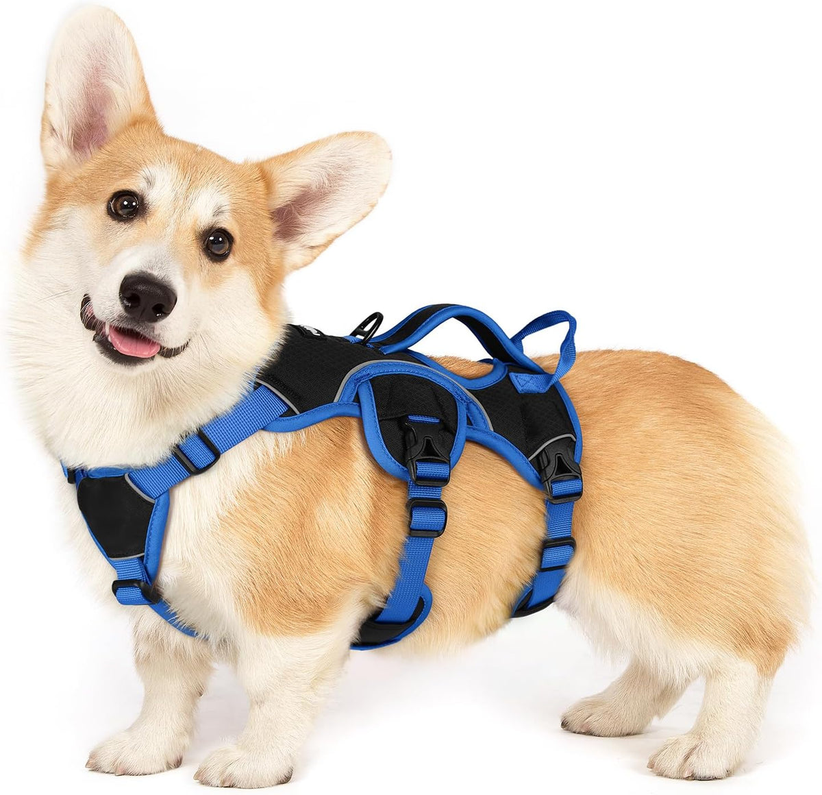 Escape Proof Dog Harness for Large, No Pull with Lift Handle | No Escape, Full Soft Padded, Reflective Adjustable Vest, Leash Clip for Walking Hiking Training, Black, Large
