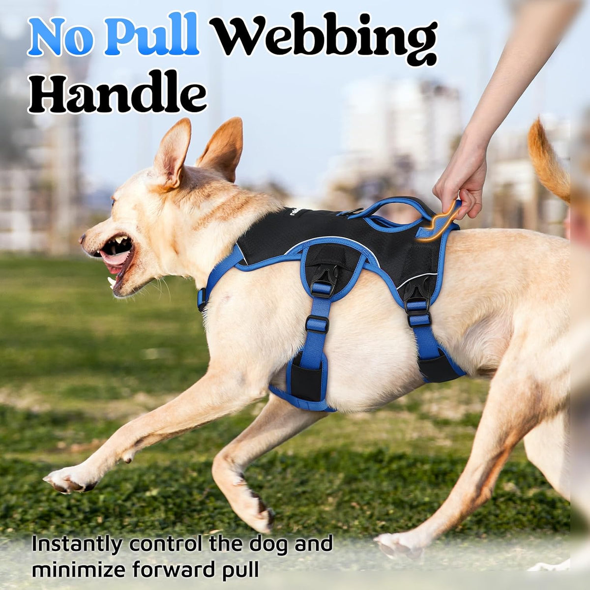 Escape Proof Dog Harness for Large, No Pull with Lift Handle | No Escape, Full Soft Padded, Reflective Adjustable Vest, Leash Clip for Walking Hiking Training, Black, Large