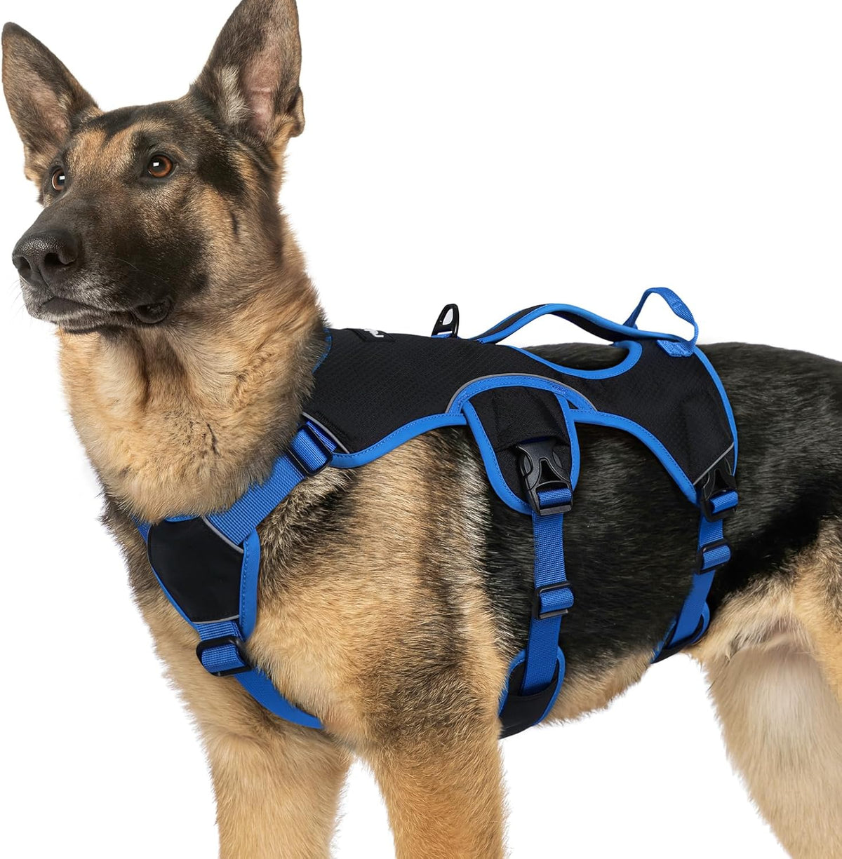 Escape Proof Dog Harness for Large, No Pull with Lift Handle | No Escape, Full Soft Padded, Reflective Adjustable Vest, Leash Clip for Walking Hiking Training, Black, Large