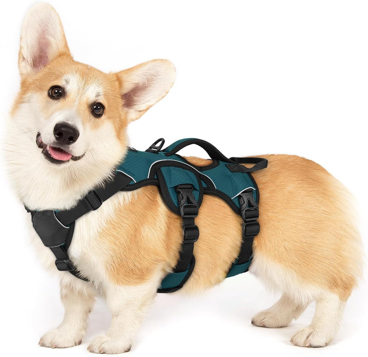 Escape Proof Dog Harness for Large, No Pull with Lift Handle | No Escape, Full Soft Padded, Reflective Adjustable Vest, Leash Clip for Walking Hiking Training, Black, Large