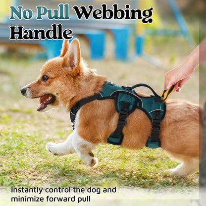 Escape Proof Dog Harness for Large, No Pull with Lift Handle | No Escape, Full Soft Padded, Reflective Adjustable Vest, Leash Clip for Walking Hiking Training, Black, Large