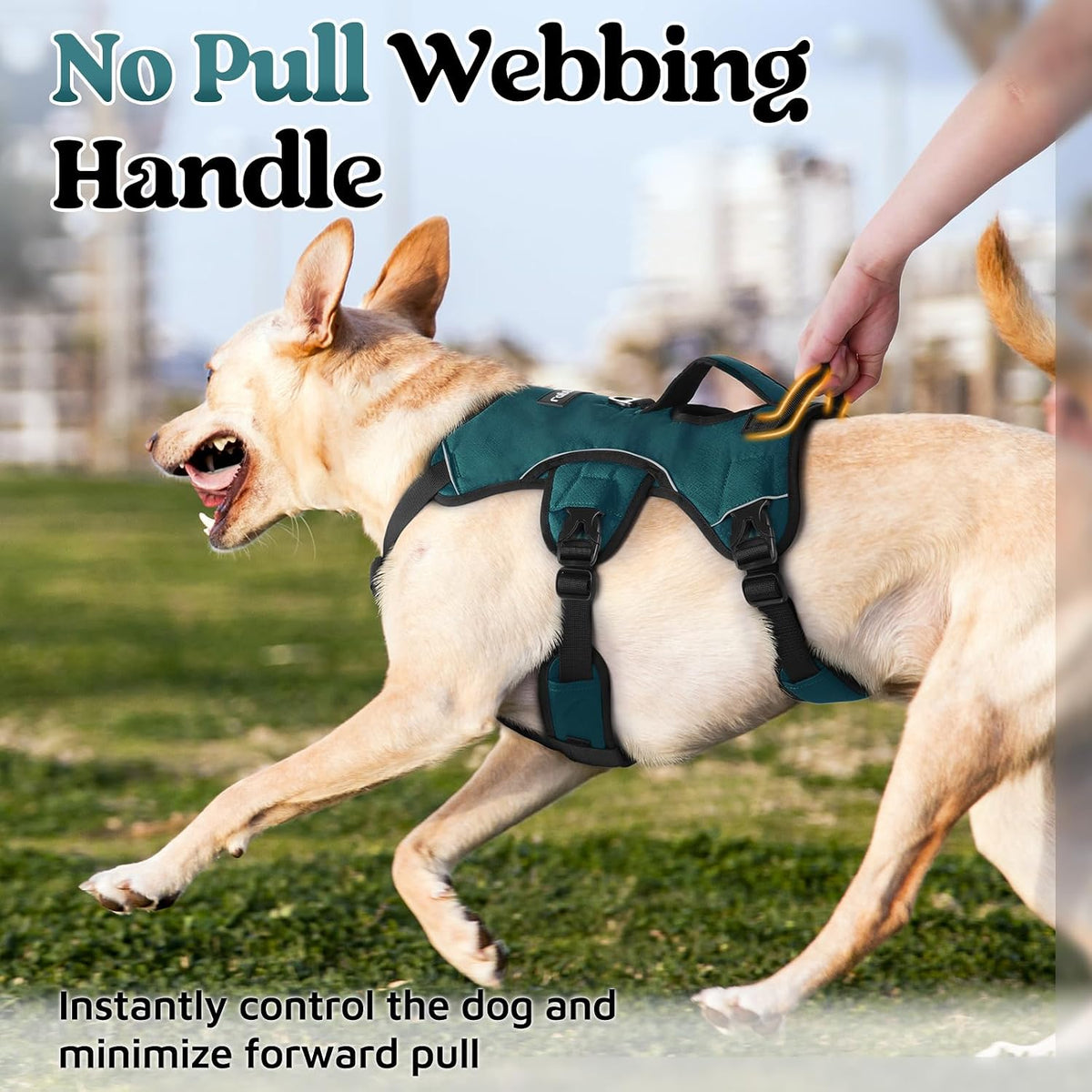 Escape Proof Dog Harness for Large, No Pull with Lift Handle | No Escape, Full Soft Padded, Reflective Adjustable Vest, Leash Clip for Walking Hiking Training, Black, Large