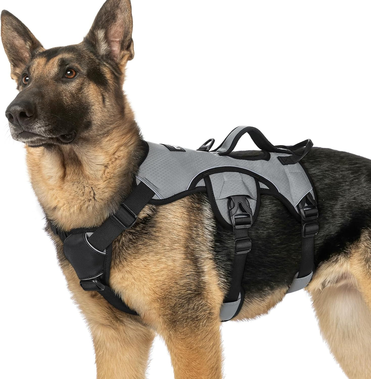 Escape Proof Dog Harness for Large, No Pull with Lift Handle | No Escape, Full Soft Padded, Reflective Adjustable Vest, Leash Clip for Walking Hiking Training, Black, Large