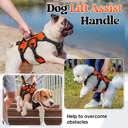 Escape Proof Dog Harness for Large, No Pull with Lift Handle | No Escape, Full Soft Padded, Reflective Adjustable Vest, Leash Clip for Walking Hiking Training, Black, Large