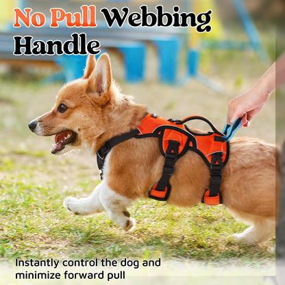 Escape Proof Dog Harness for Large, No Pull with Lift Handle | No Escape, Full Soft Padded, Reflective Adjustable Vest, Leash Clip for Walking Hiking Training, Black, Large