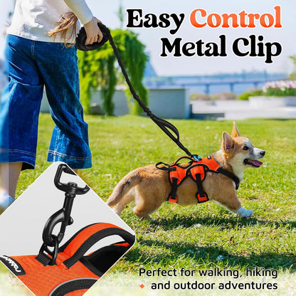 Escape Proof Dog Harness for Large, No Pull with Lift Handle | No Escape, Full Soft Padded, Reflective Adjustable Vest, Leash Clip for Walking Hiking Training, Black, Large