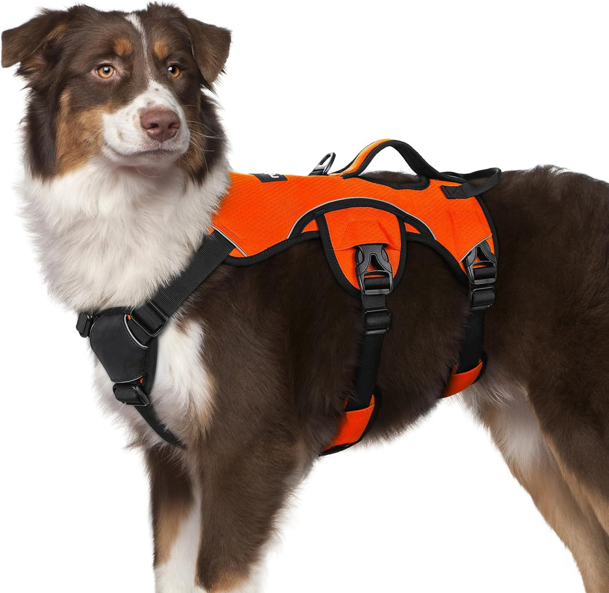 Escape Proof Dog Harness for Large, No Pull with Lift Handle | No Escape, Full Soft Padded, Reflective Adjustable Vest, Leash Clip for Walking Hiking Training, Black, Large