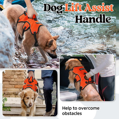 Escape Proof Dog Harness for Large, No Pull with Lift Handle | No Escape, Full Soft Padded, Reflective Adjustable Vest, Leash Clip for Walking Hiking Training, Black, Large