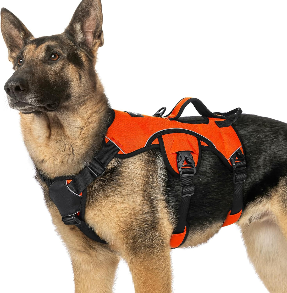 Escape Proof Dog Harness for Large, No Pull with Lift Handle | No Escape, Full Soft Padded, Reflective Adjustable Vest, Leash Clip for Walking Hiking Training, Black, Large