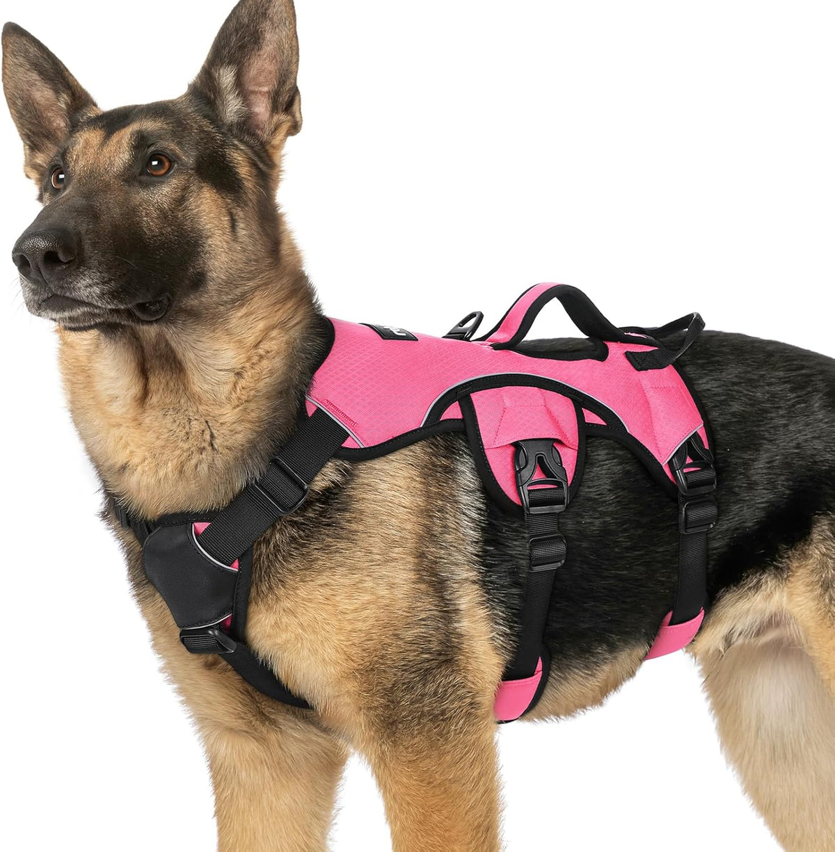Escape Proof Dog Harness for Large, No Pull with Lift Handle | No Escape, Full Soft Padded, Reflective Adjustable Vest, Leash Clip for Walking Hiking Training, Black, Large