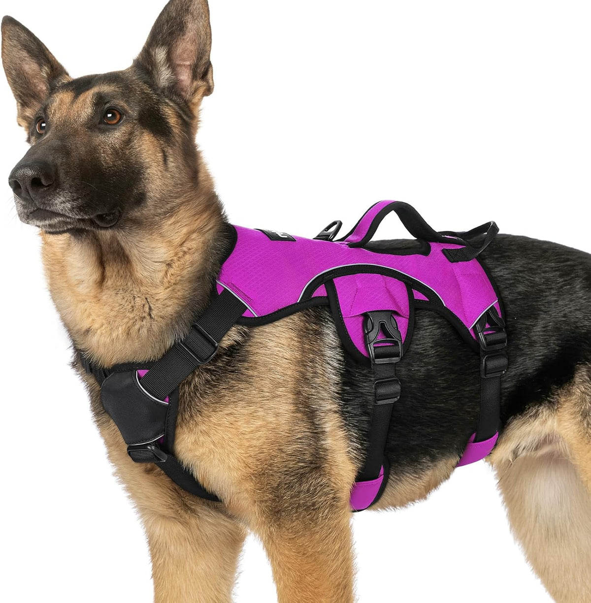 Escape Proof Dog Harness for Large, No Pull with Lift Handle | No Escape, Full Soft Padded, Reflective Adjustable Vest, Leash Clip for Walking Hiking Training, Black, Large