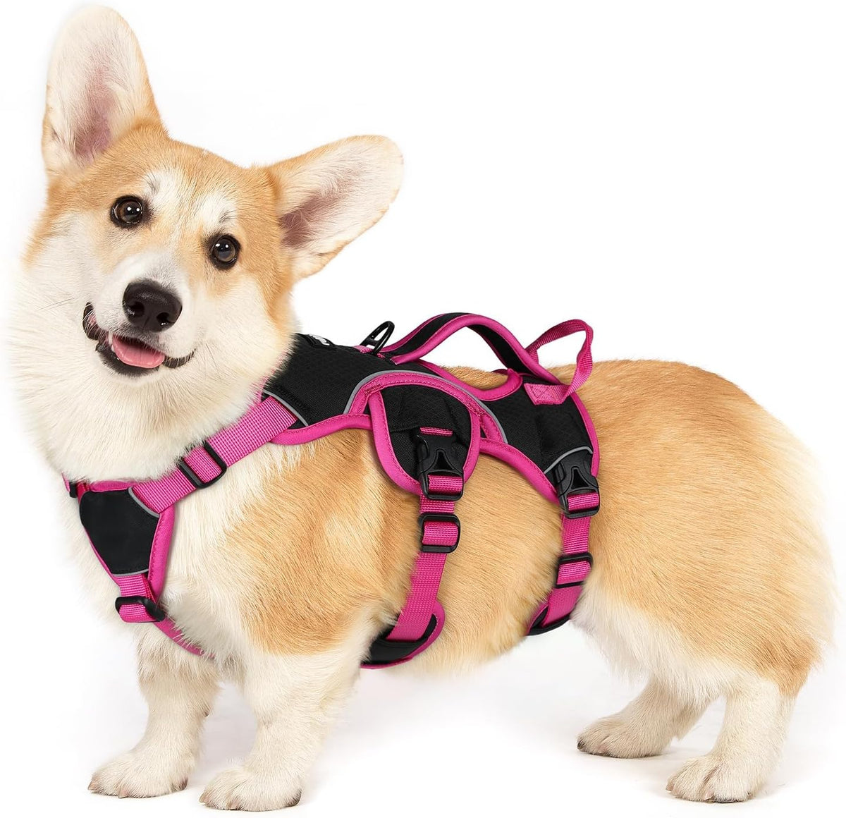 Escape Proof Dog Harness for Large, No Pull with Lift Handle | No Escape, Full Soft Padded, Reflective Adjustable Vest, Leash Clip for Walking Hiking Training, Black, Large