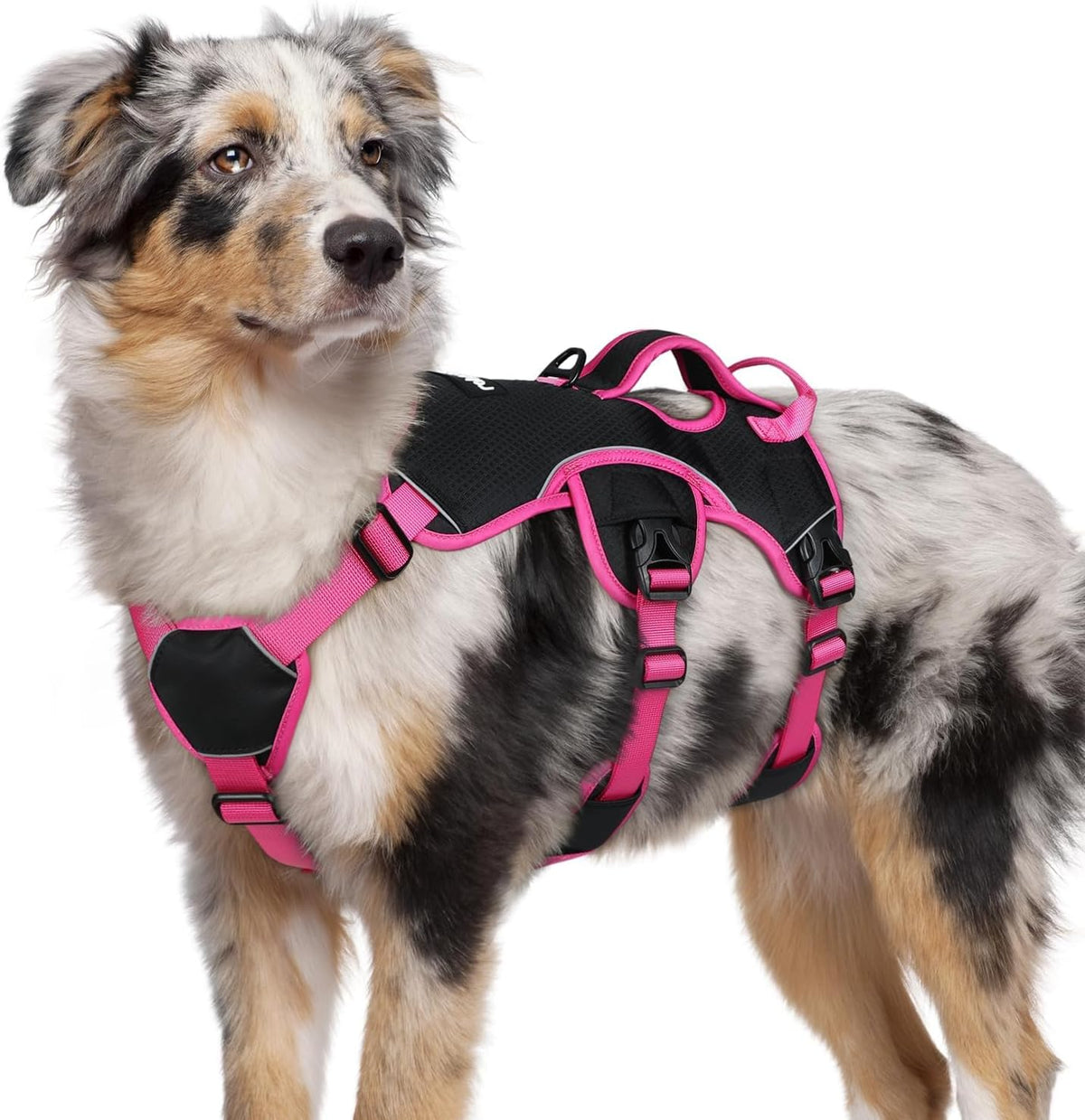 Escape Proof Dog Harness for Large, No Pull with Lift Handle | No Escape, Full Soft Padded, Reflective Adjustable Vest, Leash Clip for Walking Hiking Training, Black, Large